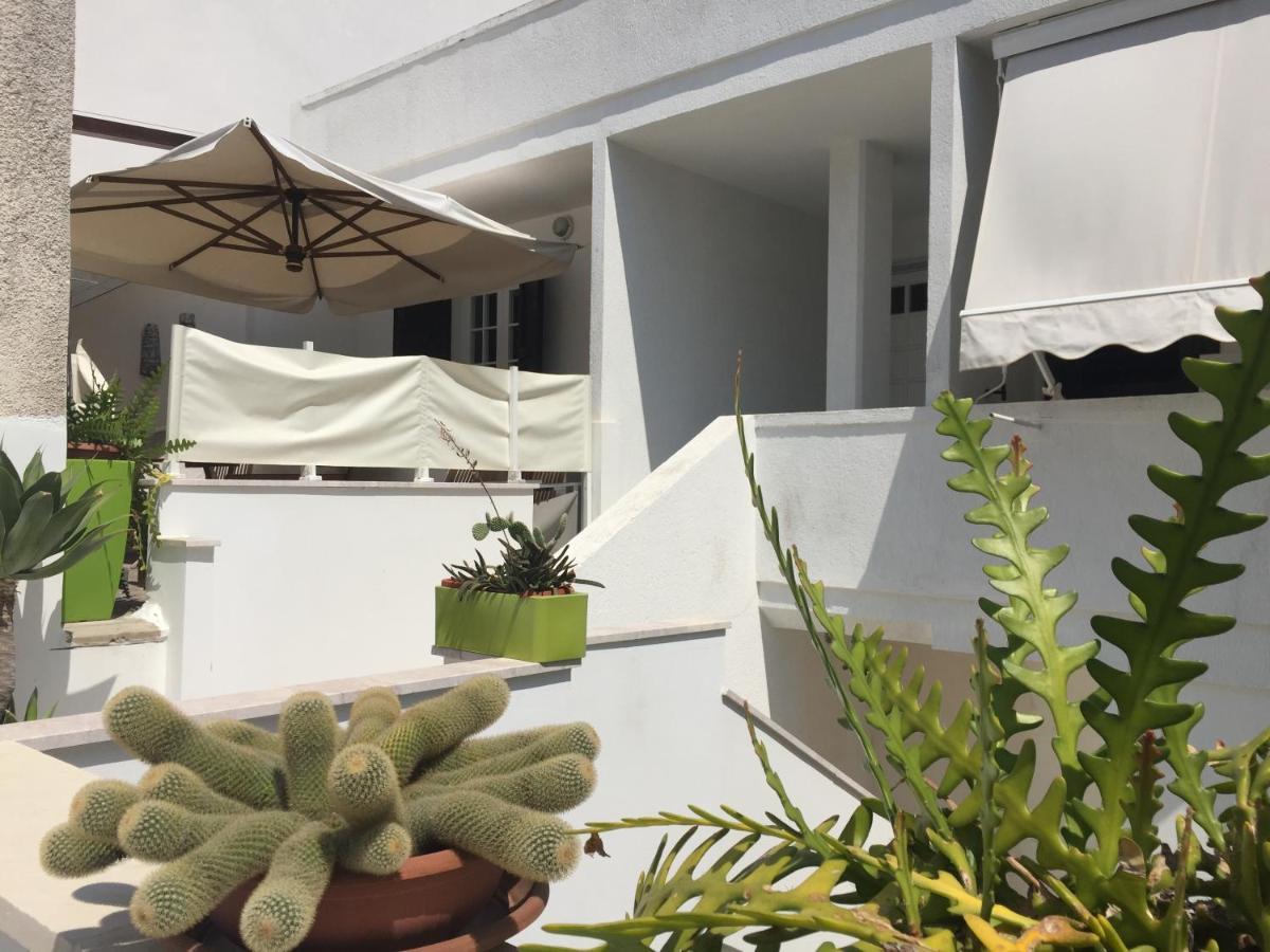 新福卡Casa Sul Mare - Wifi Free - Parcheggio Privato公寓 外观 照片