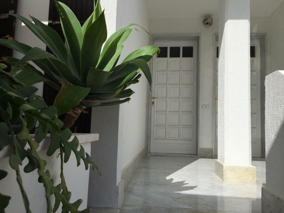 新福卡Casa Sul Mare - Wifi Free - Parcheggio Privato公寓 外观 照片